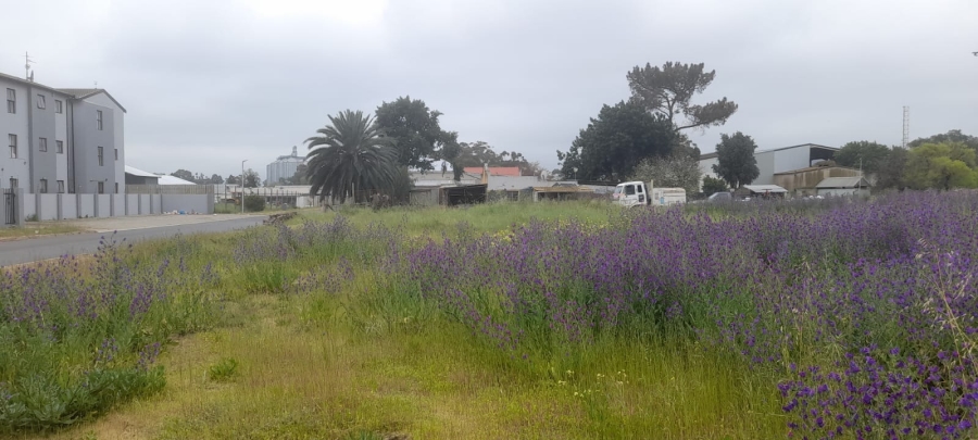 0 Bedroom Property for Sale in Moorreesburg Western Cape